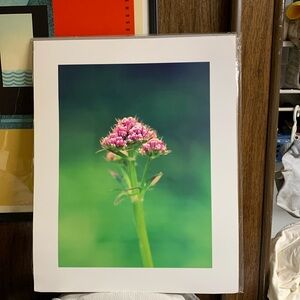 Art print poster by Andrea Striddberg 40 x 50 cm 
15 3/4 x 19 3/4”